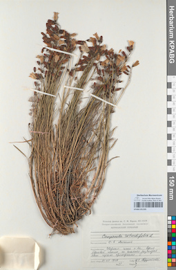 KPABG051505