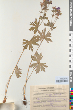 KPABG051513