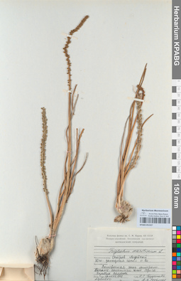 KPABG051527