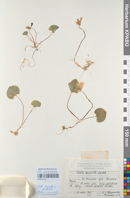 KPABG051532