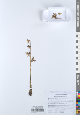 KPABG050877