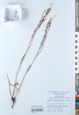 KPABG050879