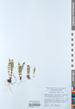 KPABG050881
