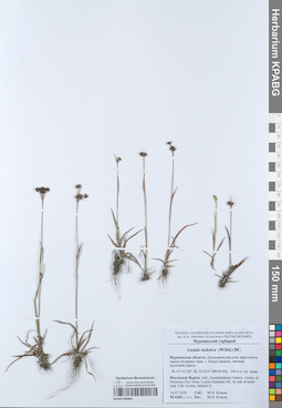 KPABG050882
