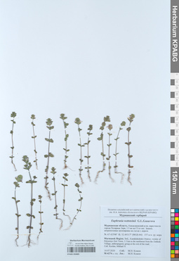 KPABG050885