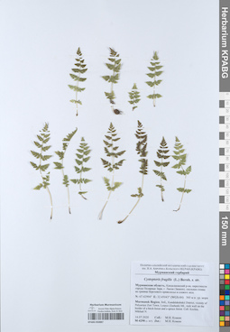KPABG050887