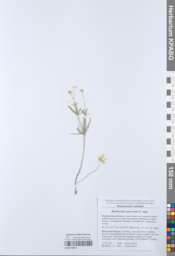 KPABG050890