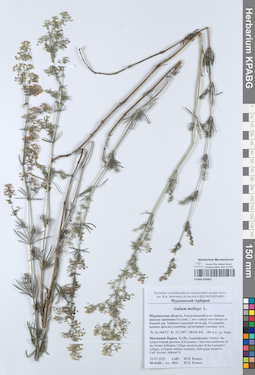 KPABG050897