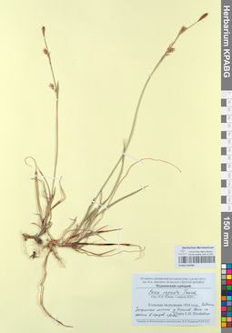 KPABG050293
