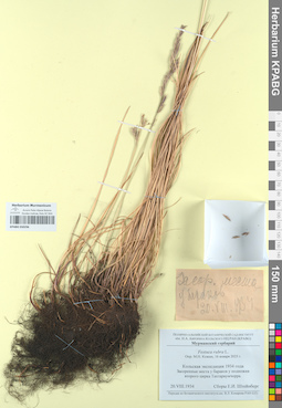 KPABG050296