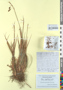 KPABG050308