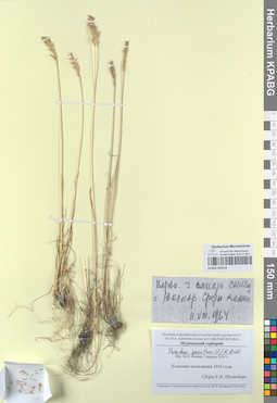 KPABG050313