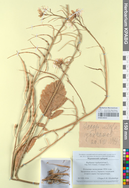 KPABG050314