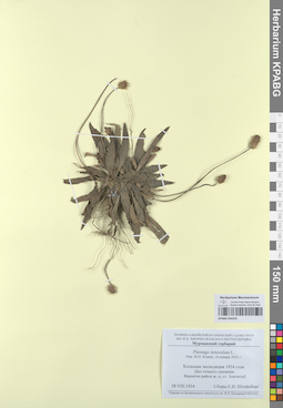 KPABG050324