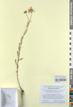 KPABG050340
