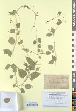 KPABG050354