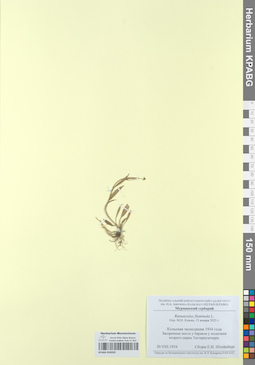 KPABG050359