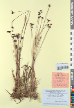 KPABG050379