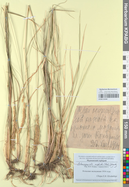 KPABG050380