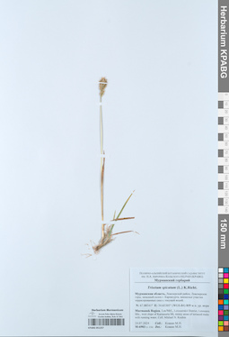 KPABG051257