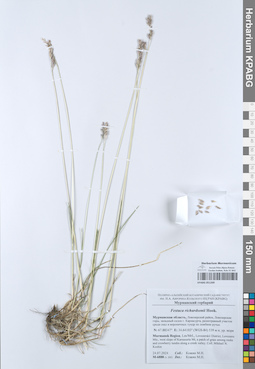 KPABG051269