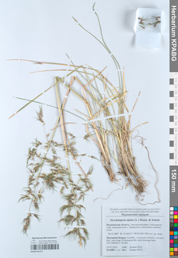 KPABG051271