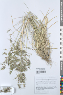 KPABG051275