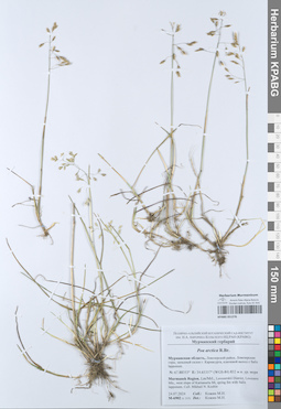 KPABG051276