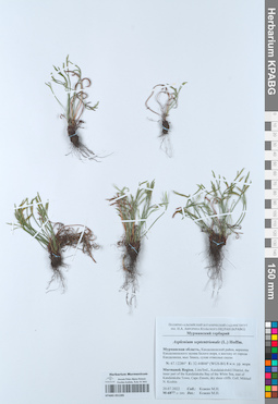 KPABG051285
