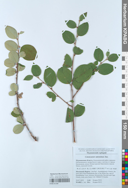 KPABG051300