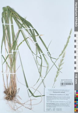 KPABG051302