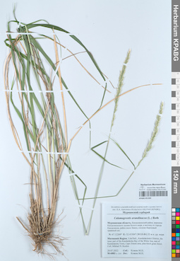 KPABG051303