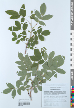 KPABG051306