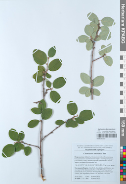 KPABG051310
