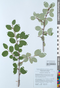 KPABG051311
