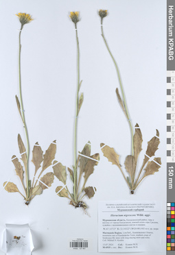 KPABG027667