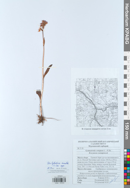 KPABG049683