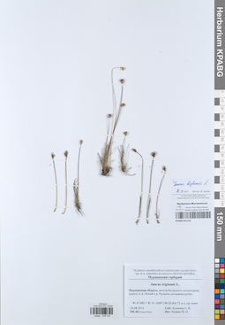 KPABG051116