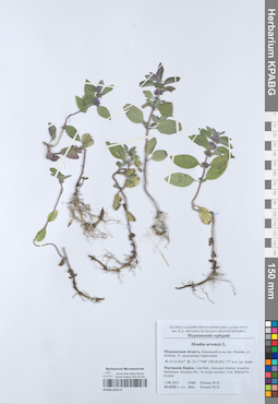 KPABG050174