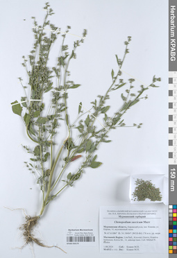 KPABG050179