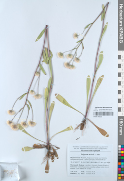KPABG050183