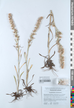 KPABG050187