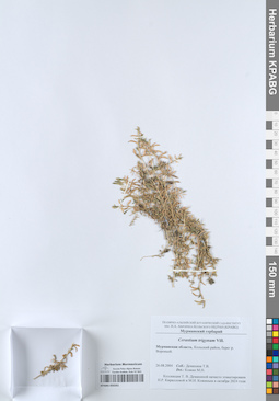 KPABG050261