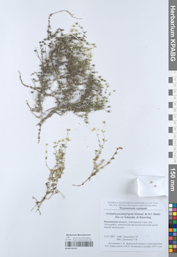KPABG050276