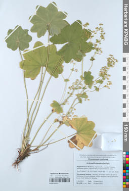 KPABG050279