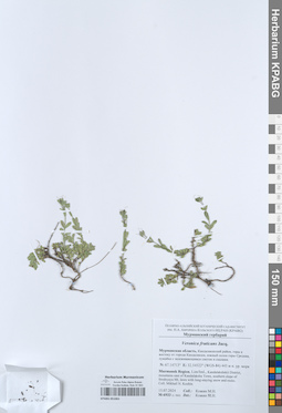 KPABG051061
