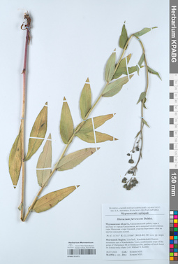 KPABG051072