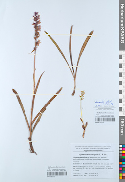 KPABG051114