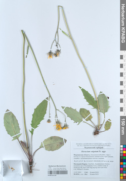 KPABG051120