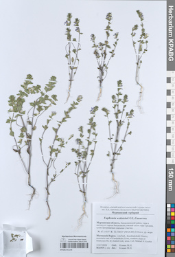 KPABG051146
